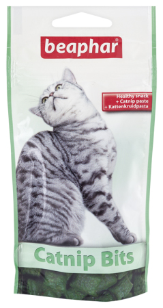Catnip-bits Cat