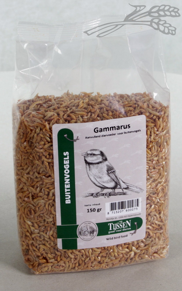 Gammarus