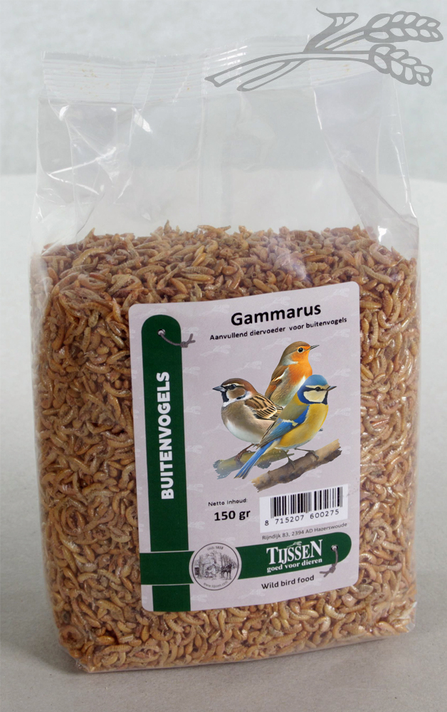 Tijssen Gammarus