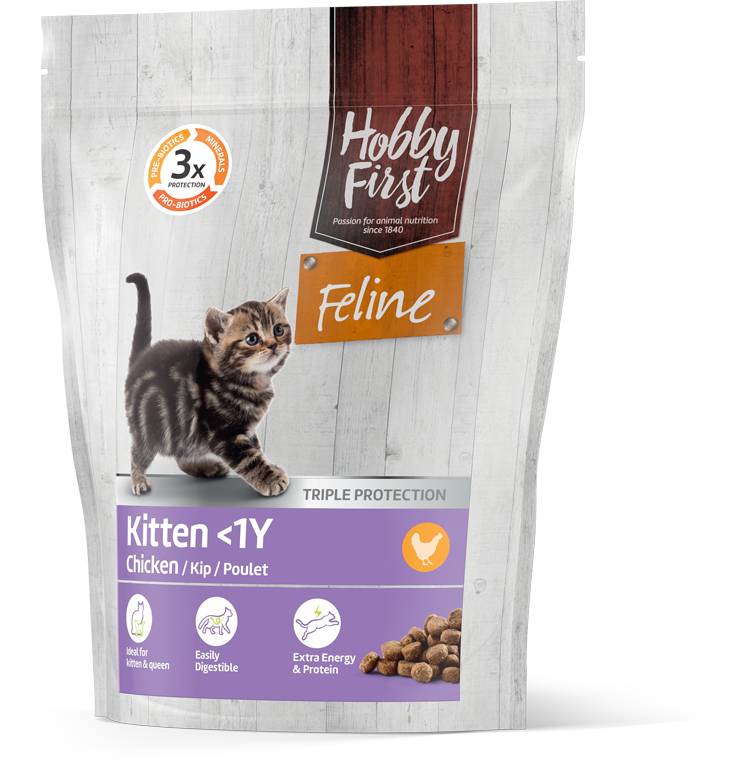 HobbyFirst Feline Kitten <1Y