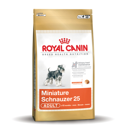Mini Schnauzer Adult 25