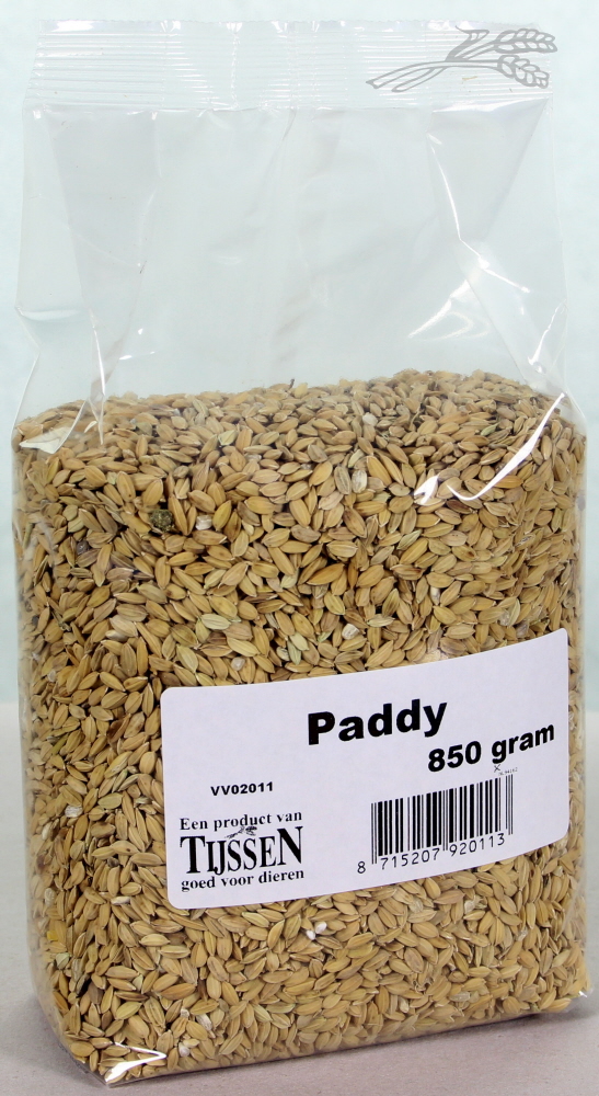 Paddy