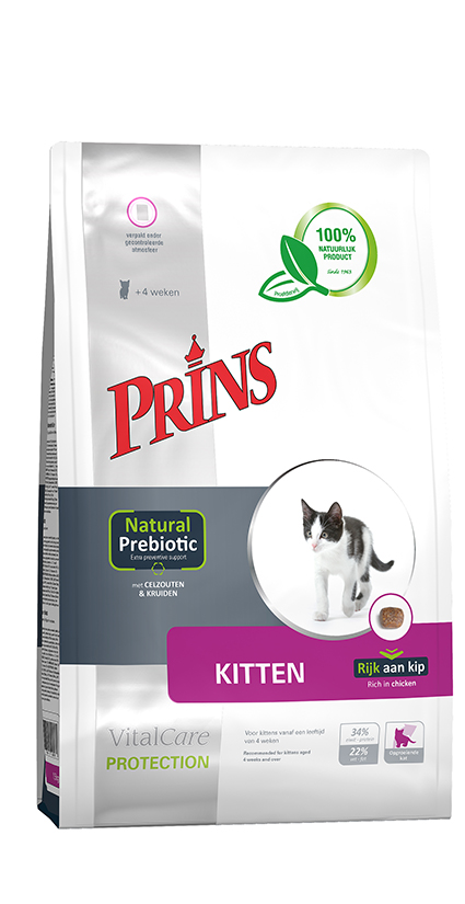 Prins Protection Cat Kitten