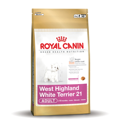 [RC278301] West Highland White Terrier 21 Adult (1.5 kg.)
