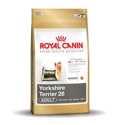 [RC275101] Yorkshire Terrier 28 Adult (1.5 kg.)
