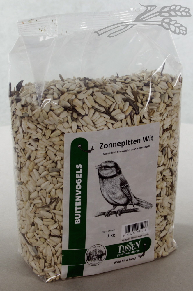 Zonnepitten Wit
