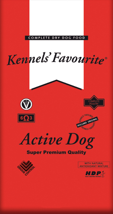 Kennels Fav. Active Dog