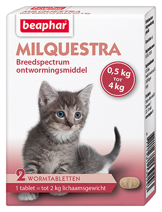 Beaphar Milquestra Kat Klein en Kitten