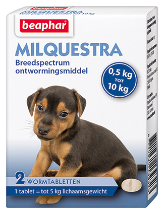 [BP13932] Milquestra Hond Klein en Pup 2 tab.