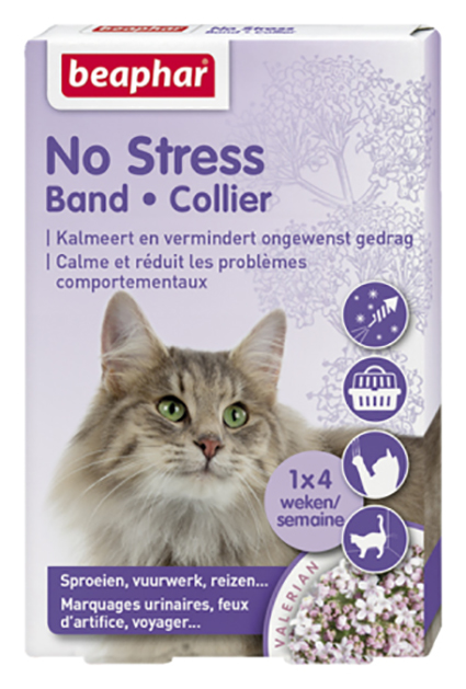 No Stress Band Kat 1 st.