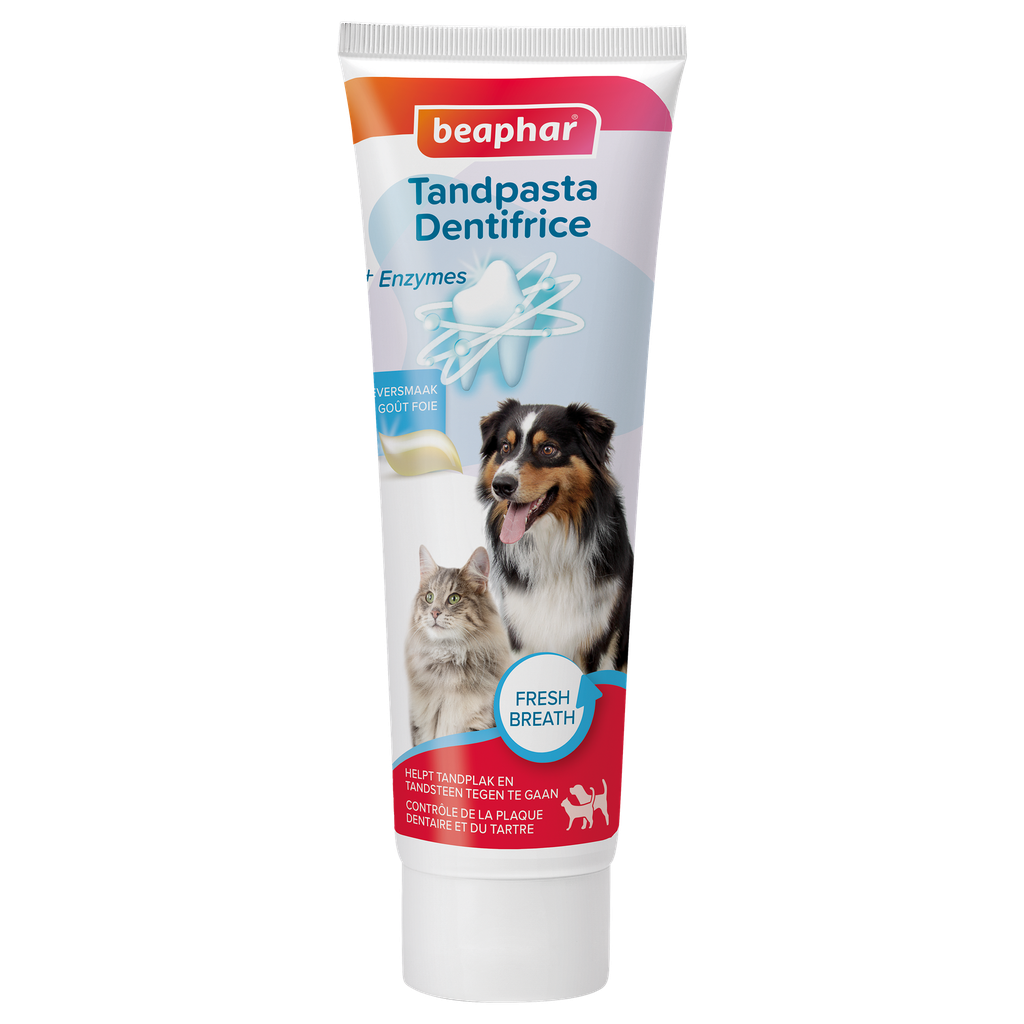 Tandpasta