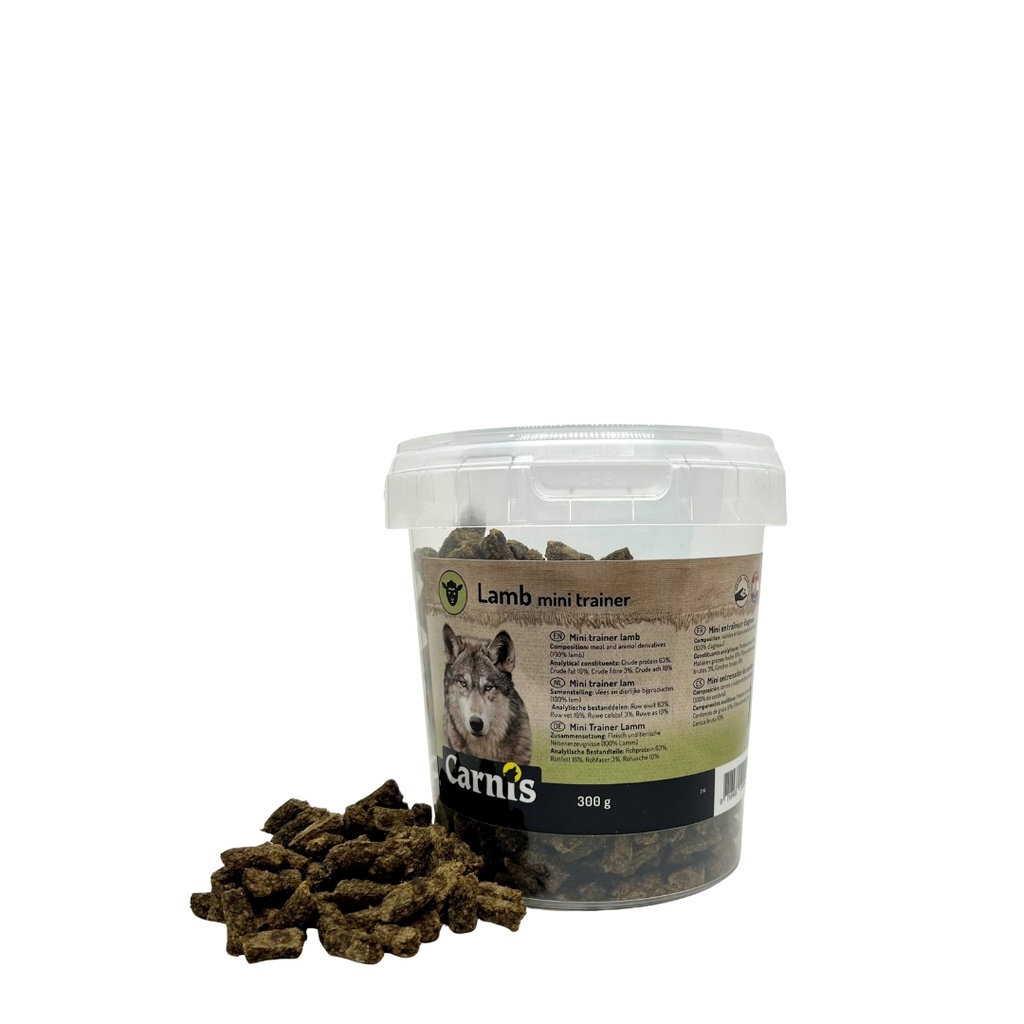 Carnis Trainer Lam Mini