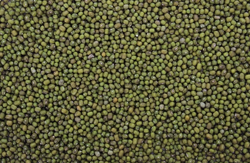 [DV0165] Tijssen Katjang Idjoe 25 kg.