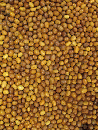 Duivenbonen 25 kg.