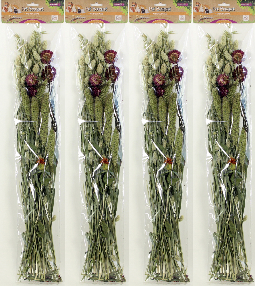 ESVE Pet Bouquet Weidegewas 6 x 1 st.