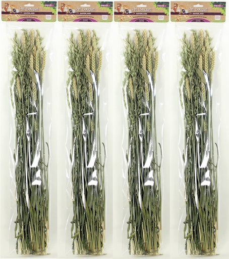 [E83120] Pet Bouquet Haverland 6 x 1 st.
