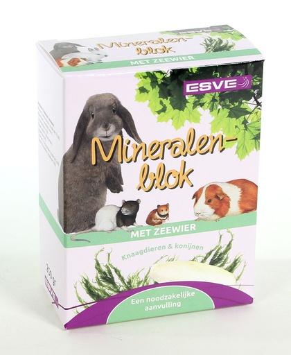 [E844001] Mineralenblok met Zeewier 1 st.