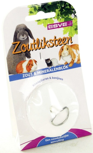 [E845120] Zoutliksteen NA-DI + RVS Houder 1 st.