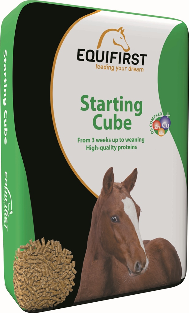 EquiFirst Starting Cube 20 kg.