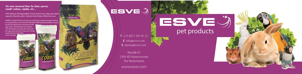 ESVE Flyer Engels 25 st.