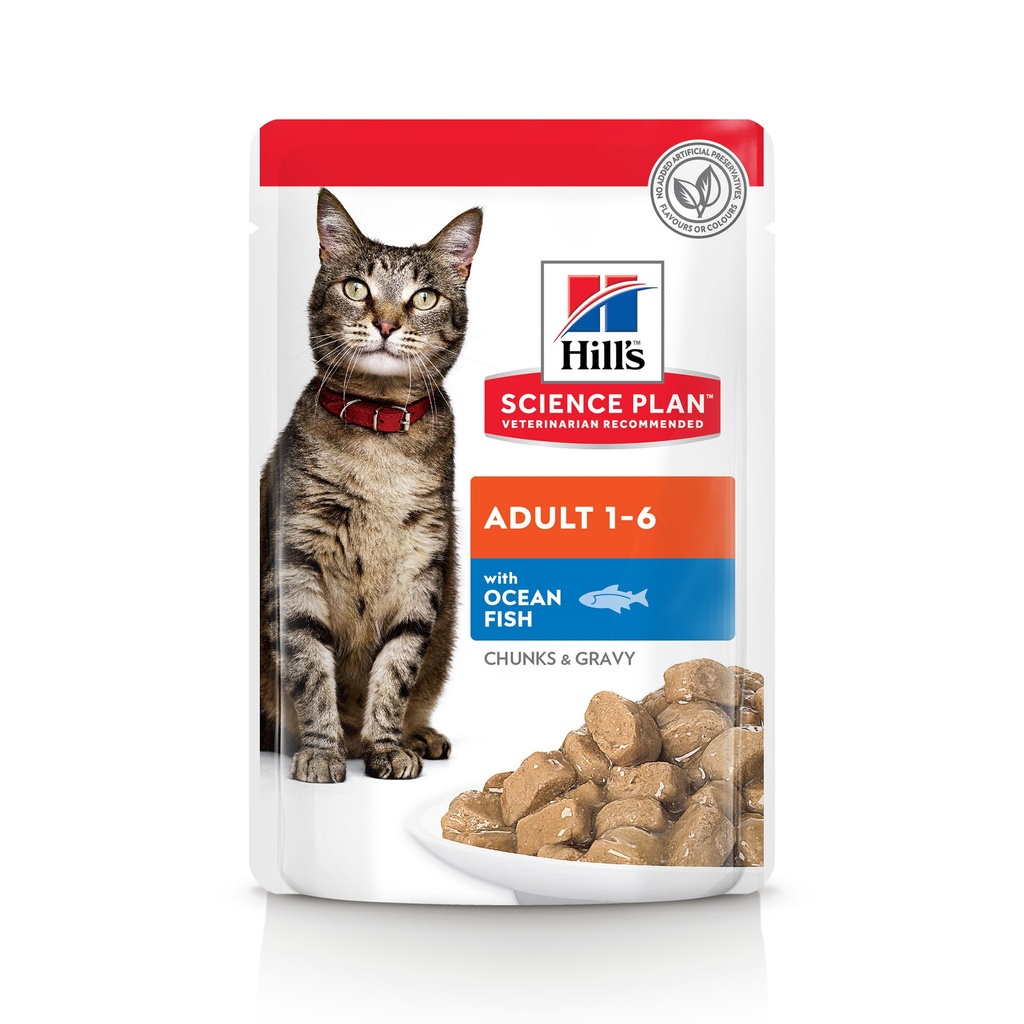 Hills Feline Pouch Ocean Fish 12 x 85 gr.