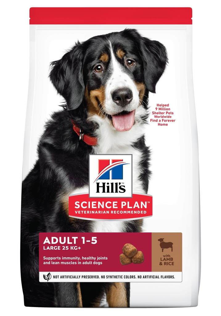 Hills Canine Large L&R