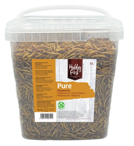 [HF326970] HobbyFirst Pure Mealworms 6 x 1 kg.