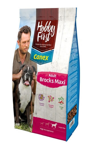[HF920057] HobbyFirst Adult Maxi Brocks 12 kg.