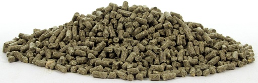 [HUIB93] HugHo Kruidenbrok monsters 1 st.