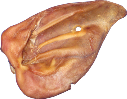 Varkensoren Los 100 x 1 st.