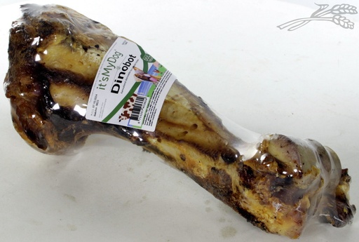 [IMD45360] it's My Dog Dinobot 1 st.