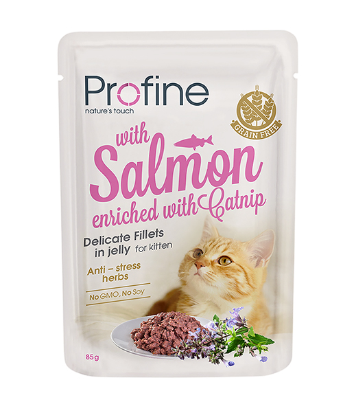 Profine Cat Pouch Kitten Salmon Fillets in Jelly