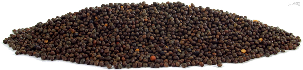 Tijssen Wikken 25 kg.