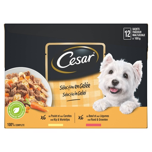 [MA421679] Cesar Pouch 12-P Gelei (4 x 12 x 100 gr.)