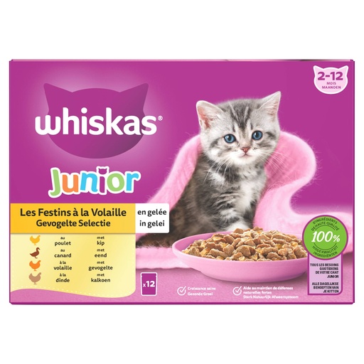[MA440853] Whiskas MP Junior Gevogelte in Gelei (4 x 12 x 85 gr.)
