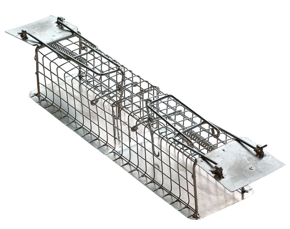 Rattenval Vangkooi 1 st.