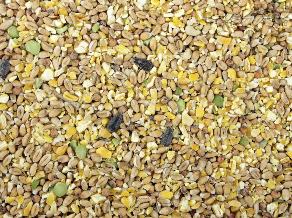 Tijssen Polder Graan 20 kg.