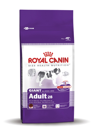 [RC207995] Giant Adult 28 15 kg.