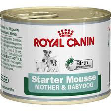 Royal Canin Dog Blik Starter Mousse 12 x 195 gr.