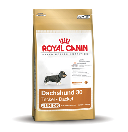[RC275501] Dachshund 30 Junior 1,5 kg.