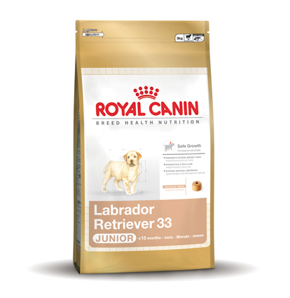 [RC277003] Labrador Retriever 33 Junior 3 kg.