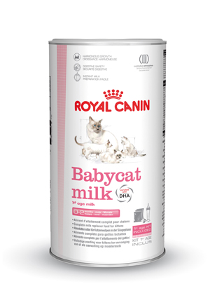 [RC309003] FHN Babycat Milk (300 gr.)
