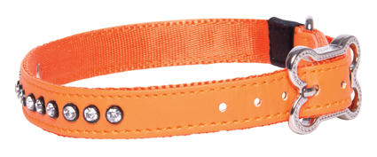 Rogz Lapz Luna Halsband M Oranje 1 st.