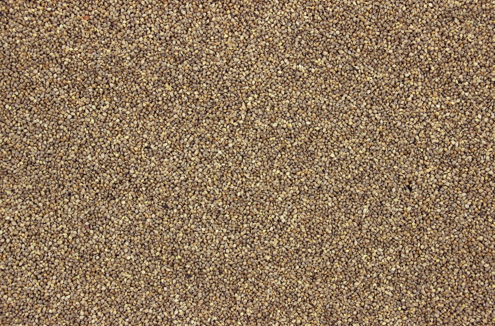 Milletzaad Japans 25 kg.