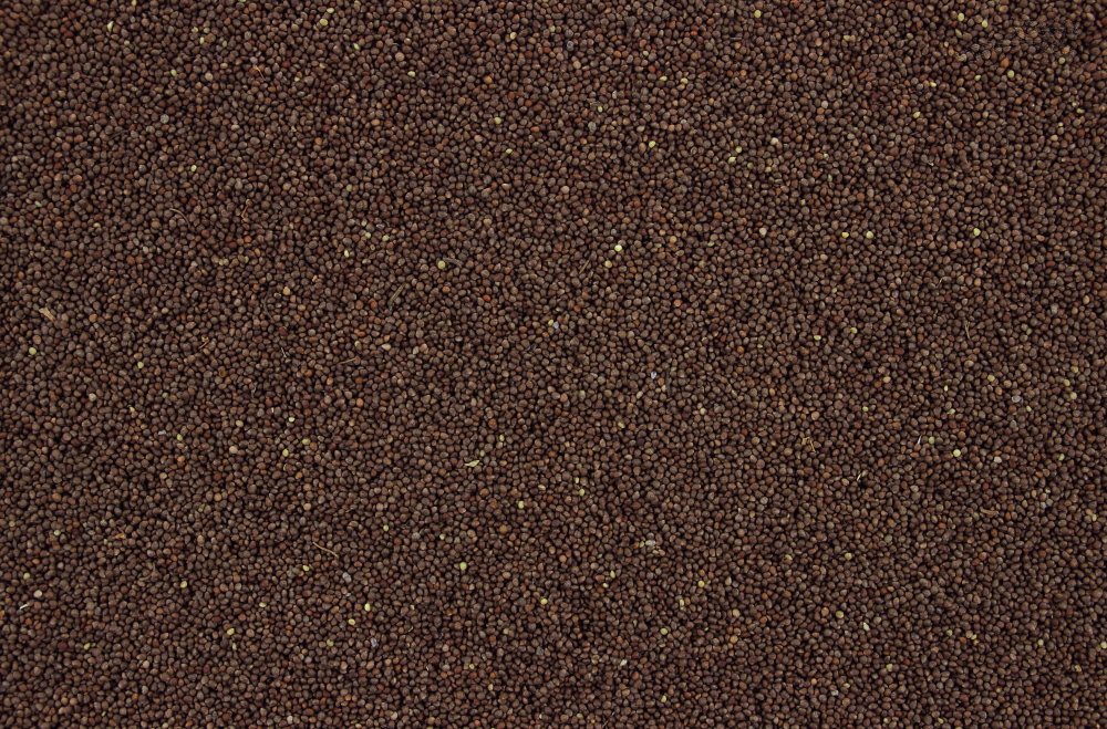 Tijssen Perillazaad Bruin 25 kg.