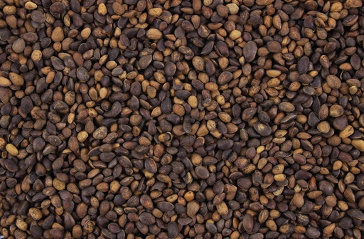 [VV0165] Tijssen Cedernoten 25 kg.