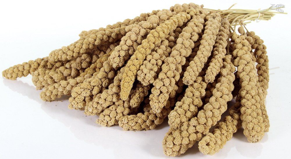 Tijssen Trosgierst Chinese 10 inch 15 kg.