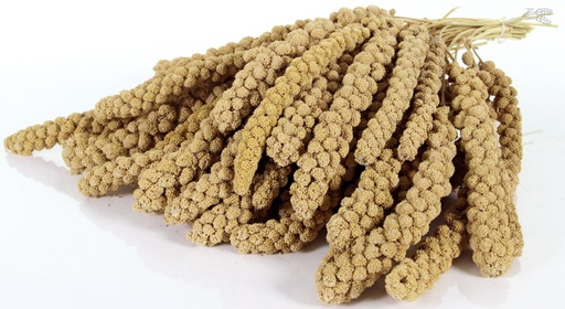 [VV0169] Trosgierst Chinese 10 inch 15 kg.
