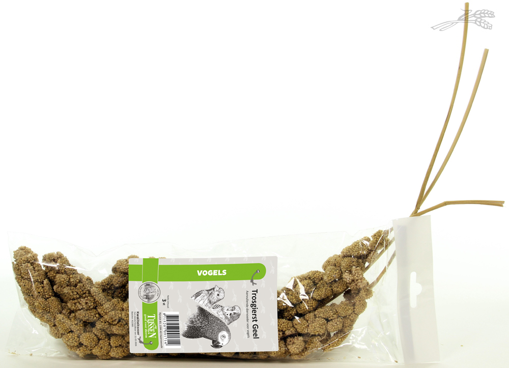 Trosgierst Geel 3 stuks 1 st.