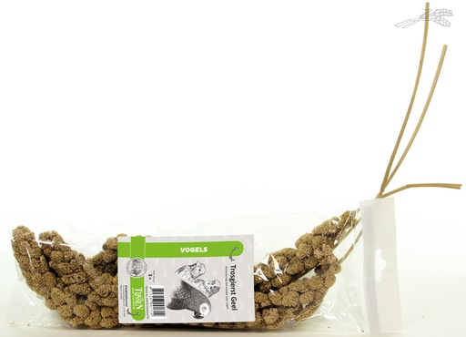 [VV0171] Trosgierst Geel 3 stuks 1 st.